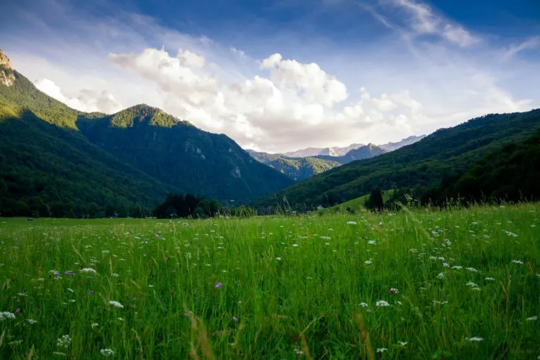 Derechos de la naturaleza en México buscan fortalecer la protección jurídica de ecosistemas y biodiversidad