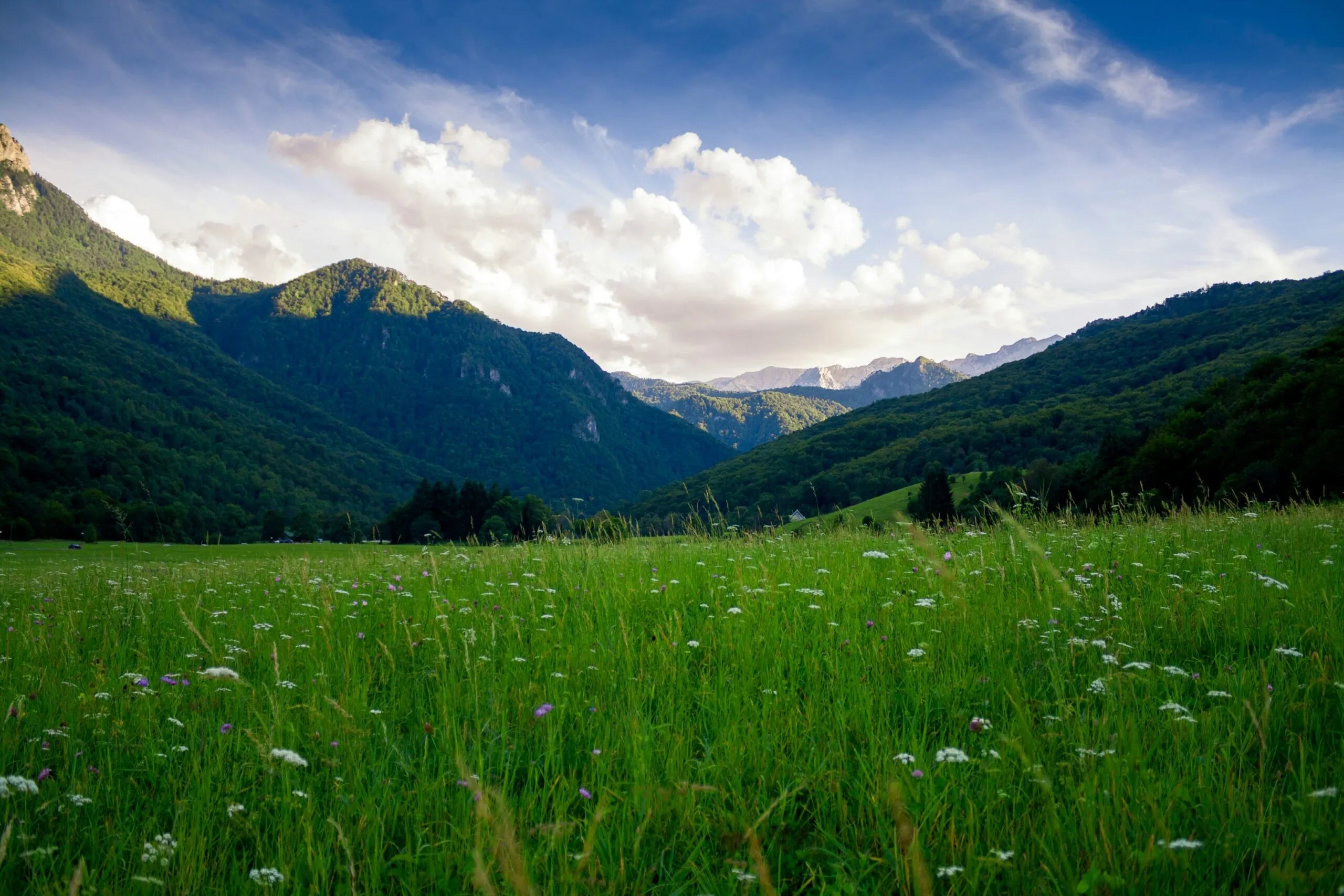 Derechos de la naturaleza en México buscan fortalecer la protección jurídica de ecosistemas y biodiversidad