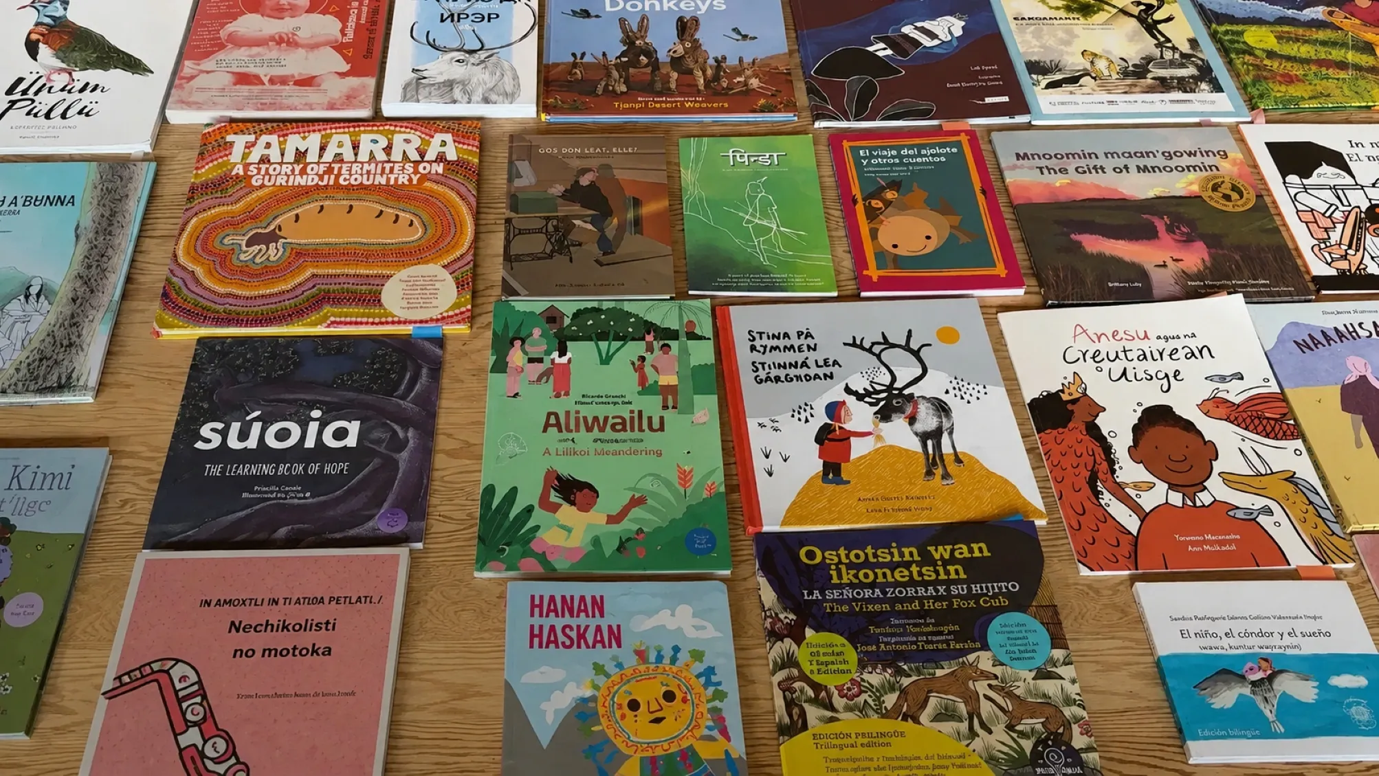 Libros en lenguas indígenas para jóvenes lectores apoyan la preservación de la diversidad lingüística y cultural