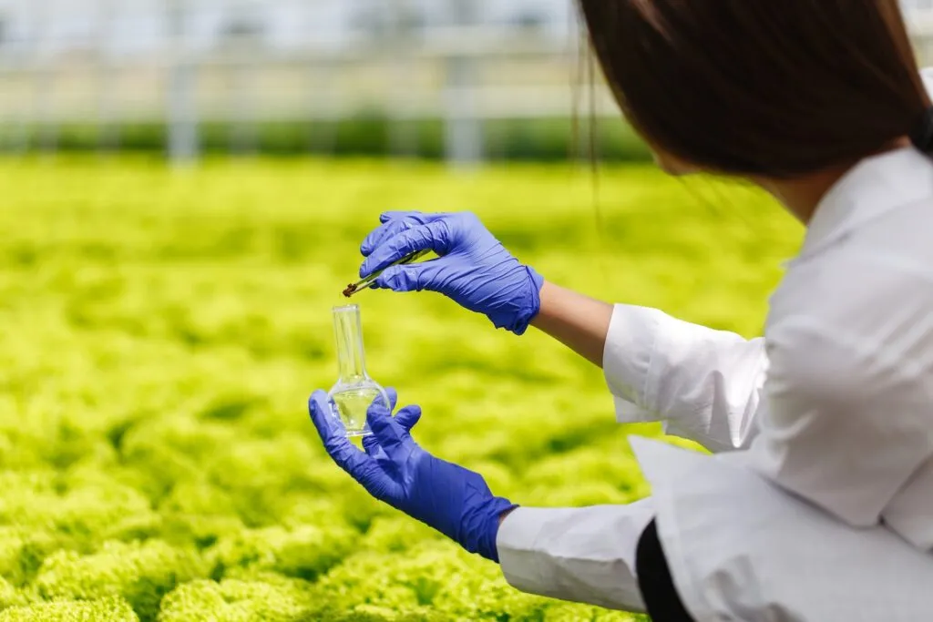 Corporativo Kosmos destaca el papel de la ingeniería en alimentos