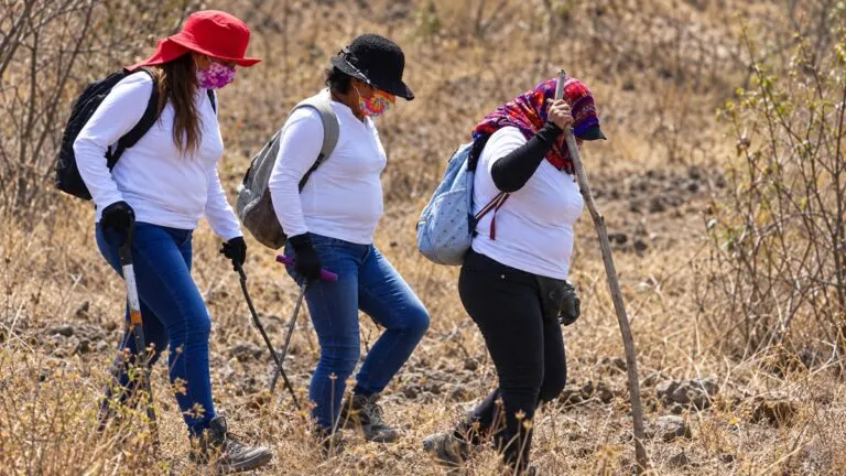 Mujeres buscadoras recorren un terreno en México tras el reconocimiento de la ONU a su labor, riesgos y derechos.