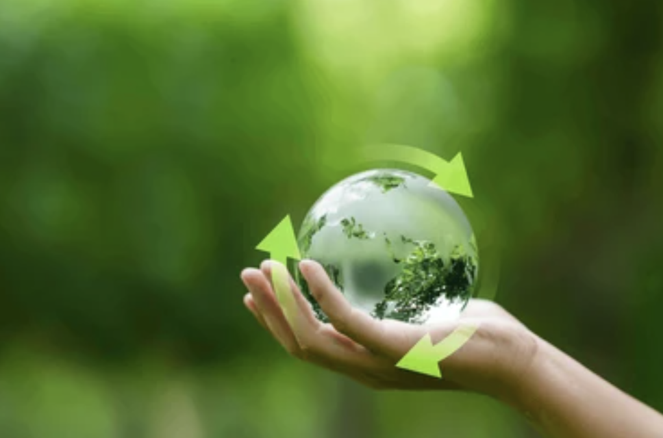 La economía circular de AJEMEX.