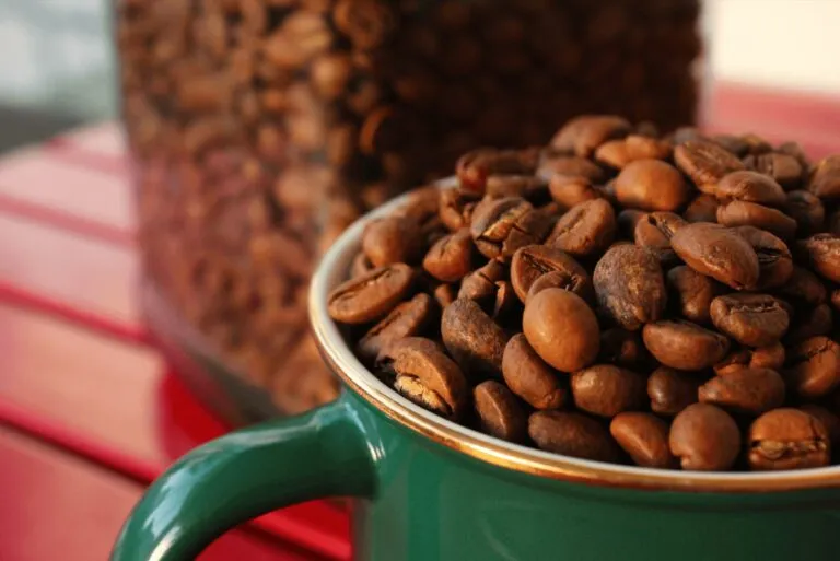 Café mexicano gana presencia por su tradición, exportaciones y el trabajo de productores de diferentes regiones del país.
